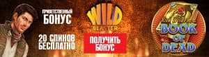 Wildblaster Casino - Казино Ваилд Бластер