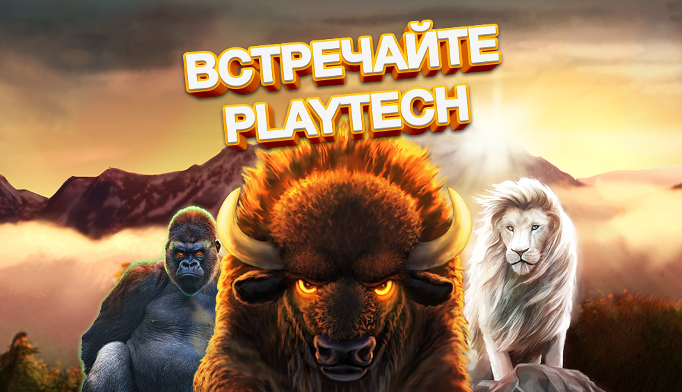 Play Fortuna добавила провайдера Playtech
