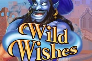 everum casino wild wishes freeroll