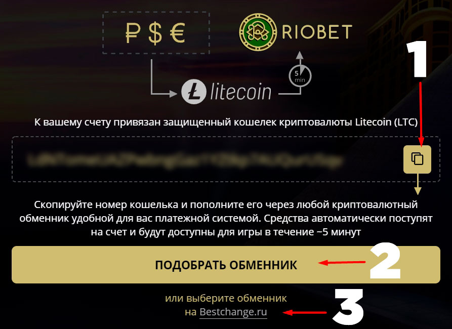 Обменник qiwi на ltc в Riobet