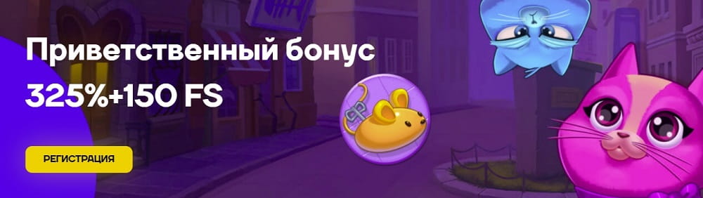 cat casino бонусы