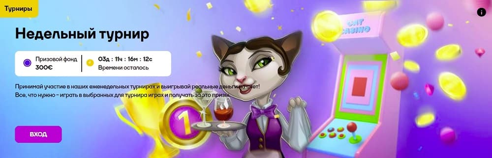 cat-casino турниры